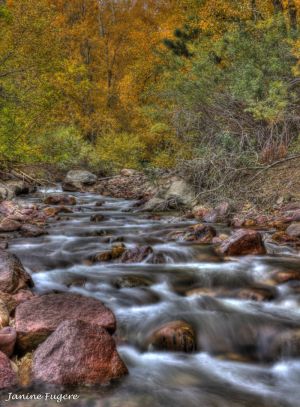 c55-3c-Gently Down the Stream Fall Foliage Surrounding Flowing Creek.jpg